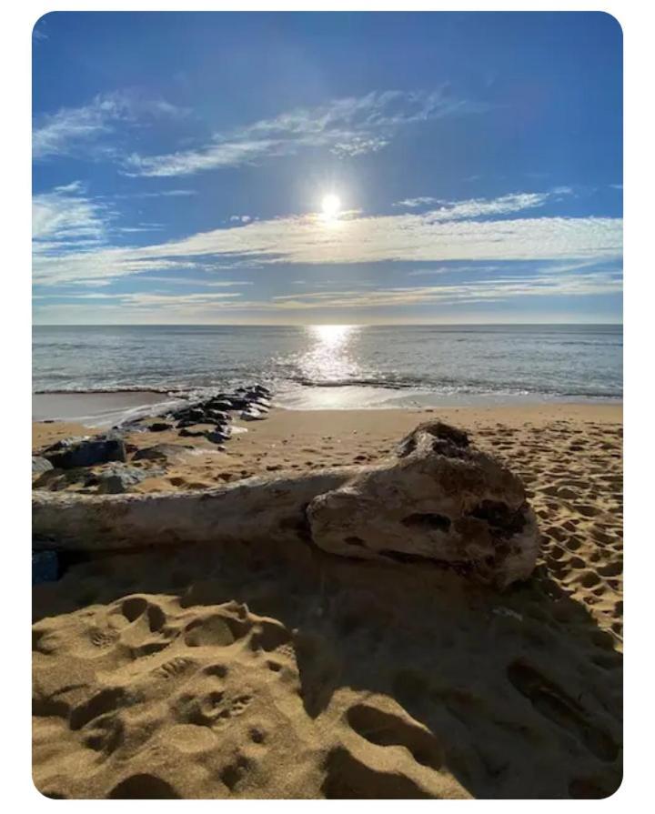 Les Pieds Dans L'Eau Acces Direct A La Plage La Cotinière Exteriér fotografie