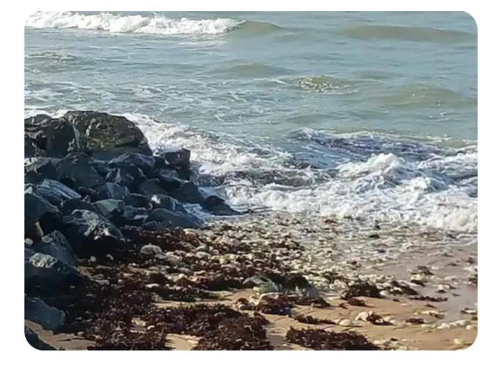 Les Pieds Dans L'Eau Acces Direct A La Plage La Cotinière Exteriér fotografie